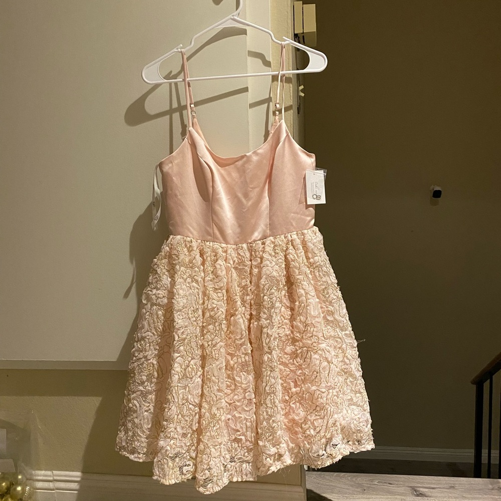 NWT Fifteen Roses pink party dress, prom dress, size 6, waist 14”